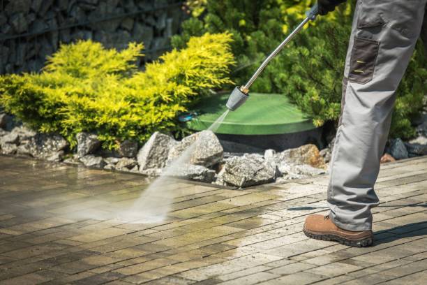 Best Building Exterior Washing  in Vamo, FL
