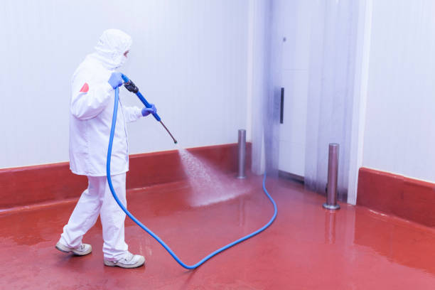 Best Graffiti Removal  in Vamo, FL